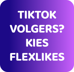 TikTok Follower